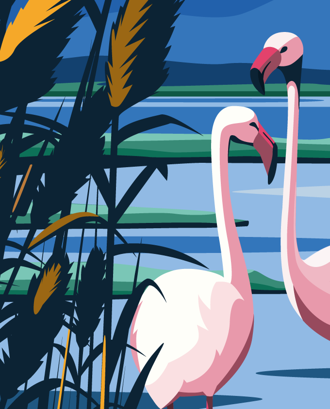 flamingos cagliari architecture summer sardinia room wall art interior design vintage travel posters places pink sardinia